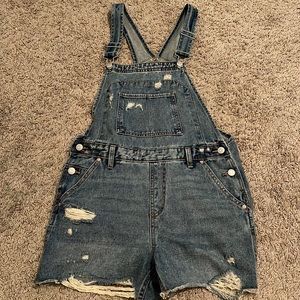 wild fable overalls
